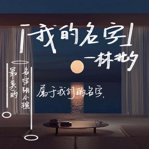 我的名字