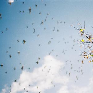 Keuning van de lucht