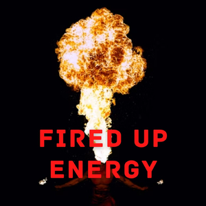 Comforting Wood Stove