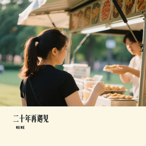 二十年再遇见