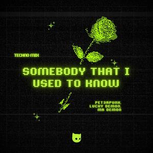 Somebody That I Used To Know (Techno Mix)