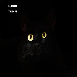 The Cat