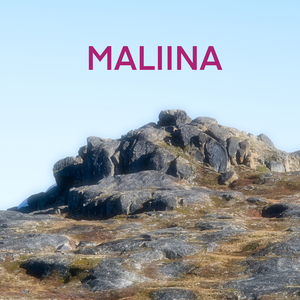 Kalaallinngooq sutortarpat