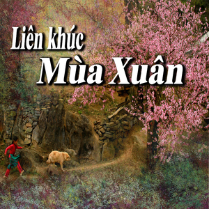 LK Quê Hương I
