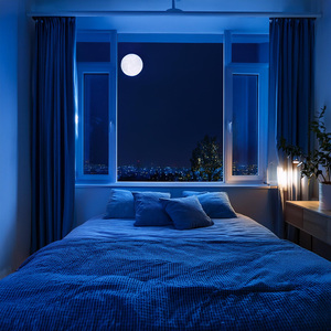 Resplandor Sereno Del Anochecer