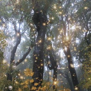 #try meee (feat. 1spxce)