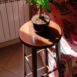 O' raggamaffin ra keste'