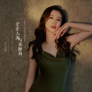 茫茫人海 与你擦肩 (DJ伟然版)