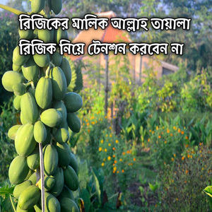 রিজিকের মালিক আল্লাহ তায়ালা রিজিক নিয়ে টেনশন করবেন না