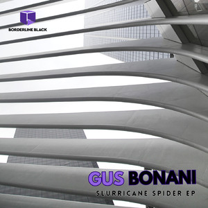 Slurricane Spider (Original Mix)