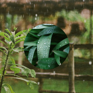 五月雨Part10 (feat. sorateras)