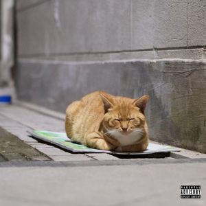 每板爱（Prod.XVIBE）