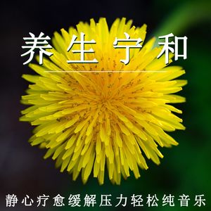 养生宁和