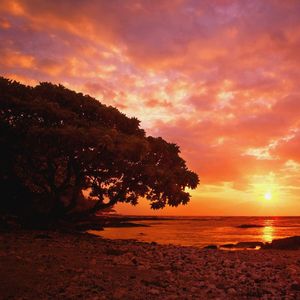 故事结束了（Prod.by （Prod.by Rick1y））