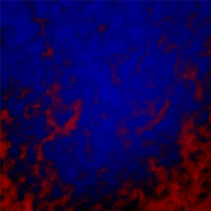 32019 [Cantharellus]