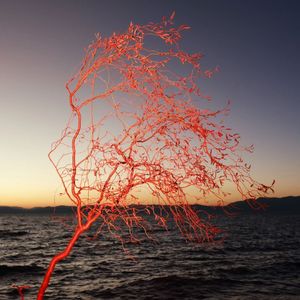 【Free】夏日末’Juice Wrld Type Beat‘