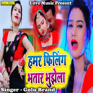 Hamar Feeling Bhatar Bujhela