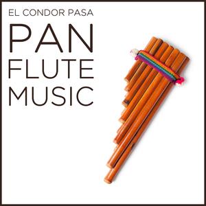 El Condor Pasa