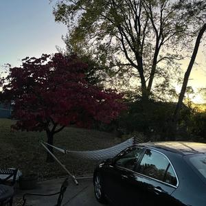 Berea (No One Knows)