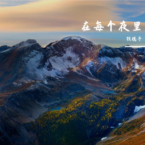 在每个夜里