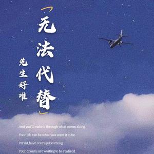 无法代替（伴奏）