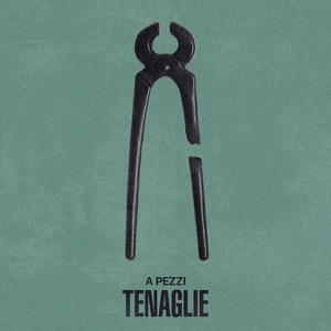 Tenaglie