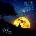 相思成网 (DJ默涵版)