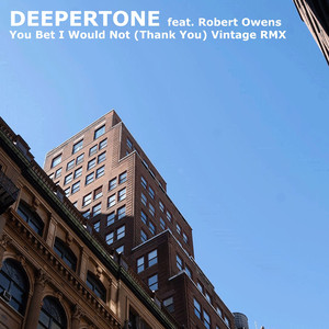 You Bet I Did Not (Thank You) [Vintage RMX]