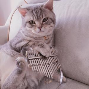 夜、萤火虫和你（卡林巴版）