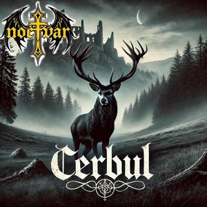 Eternitate în tăcere