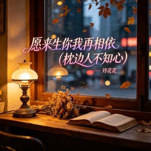 愿来生你我再相依(枕边人不知心)