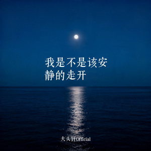 我是不是该安静的走开