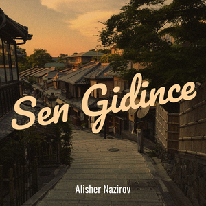 Sen Gidince