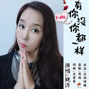 有你没你都一样
