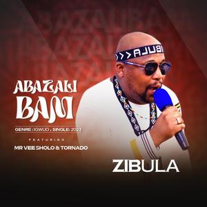 Abazali bam (feat. Mr Vee Sholo & Tornado)
