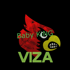 Viza