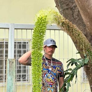 LOLA LOVA ORA Y MONNA Y JOPIKADO