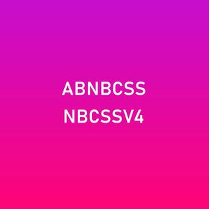 AB.NBCSS[XIV], Vol. IV