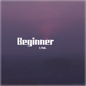 Beginner
