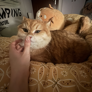 爱让善辩者沉默寡言