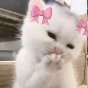 Suka Sika - Slowed+Reverb