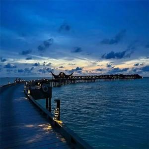 Unable to part with - Brilliant Flower Phonk