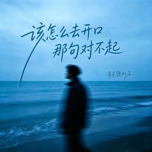 该怎么去开口那句对不起
