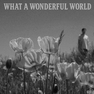 What a Wonderful World