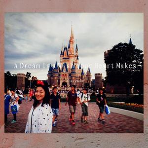 A Dream Is A Wish Your Heart Makes