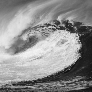 THE WAVE (Instrumental)