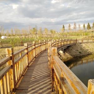 青春(原曲：记忆の海)