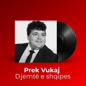 Djemtë e shqipes