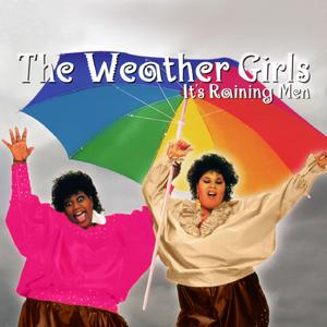 It's Raining Men (Single Version)