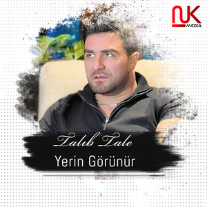 Yerin Görünür